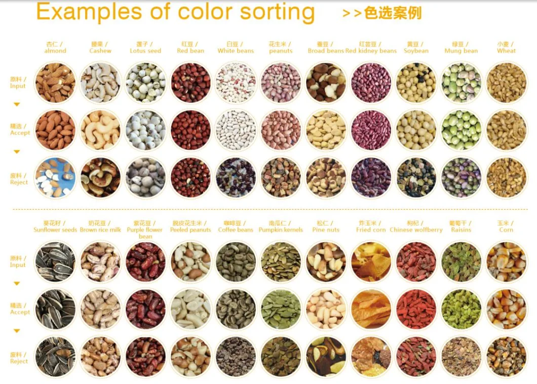CCD Mini Rice Color Sorter Machine Rice Processing Machine Rice Selector